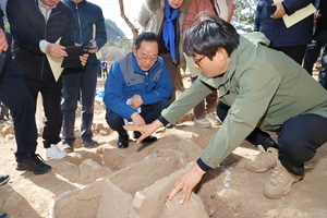 [E-로컬뉴스] 해남군, 완도군, 진도군 소식