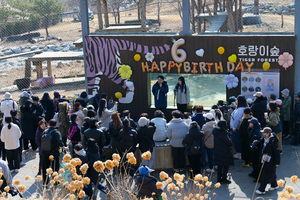 “범궁 남매 여섯 돌”…국립백두대간수목원, 개원 이래 최다 인파 몰려