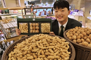 정월대보름 특수 노리는 유통家, 기획전·행사 풍성