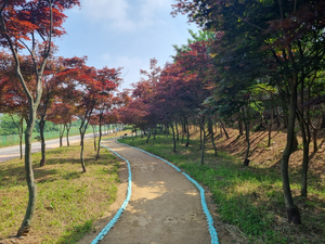 경기도, 올해 도시숲 37만5000㎡ 조성...427억 투입 예정