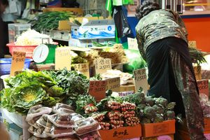‘팍팍한 삶’ 주택은커녕 생활비도 빠듯…“벚꽃 추경, 자산격차 더 벌려”