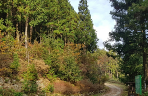 한국산지보전협회, 산림탄소흡수량 500톤 구매·소각