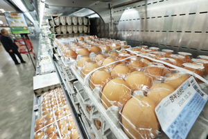 “2%대 버텼지만”...3월 물가 흔들 변수는 ‘국제유가’