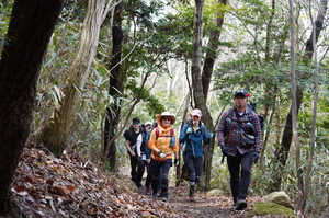 [E-로컬뉴스] 해남군, 완도군, 진도군 소식