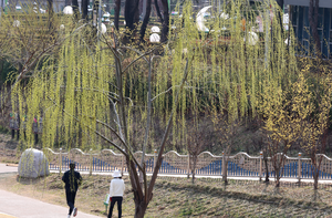 전국 맑고 포근한 낮…해 지면 기온 ‘뚝’