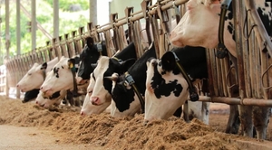 부여군, 깨끗한 축산농장 지정 24개소로 확대