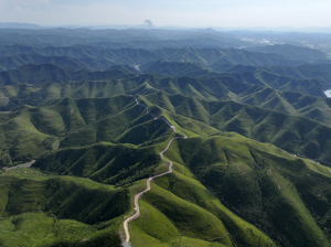 안동 산불 1년, 극복을 넘어 미래로...예천, 따뜻한 나눔으로 공동체 온기 더해
