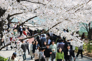 토요일 전국 비…제주·남부 강풍에 거센 비