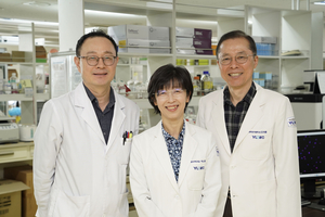 [패트롤] 영천시-대구시의회-달서구- 수성구-영남대-대구보건대