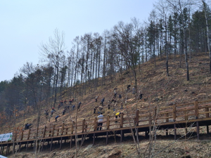 [패트롤] 평창군-평창군시설관리공단