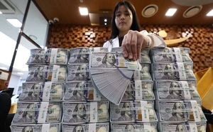 환율 널뛰자 거래 ‘폭증’...지난달 외환거래 역대 최대 기록