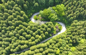 “건강한 생태계가 기업 자산”…정부, 생태계 계정 구축에 나선다