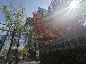 [르포] “야금야금 거래된다”…올림픽훼밀리타운, 6787가구 재건축 시계 돌았다