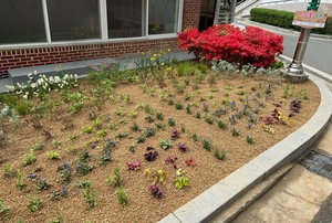 [패트롤] 영천시-청도군-대구 북구-달서구- 수성구-대구도시개발공사