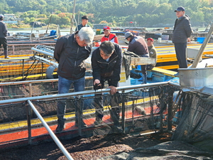 [패트롤] 해남군-완도군-진도군