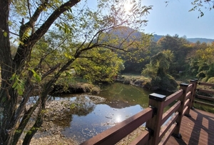경북 선거전 본격화…첨단산업 비전·민생 공방·교육·도시 전략까지 경쟁 격화