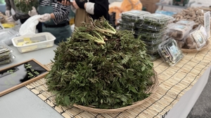 “봄을 먹고, 지역을 살리다”…홍천 산나물 축제, 소비 구조까지 바꾼다