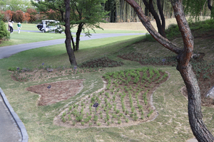 [패트롤] 경주시-대구 달서구-대구북구청-영남대-iM뱅크- 대구교육청