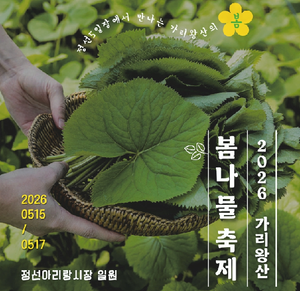 정선군, 농어촌 기본소득이 살린 축제경제…가리왕산 봄나물축제 15일 개막