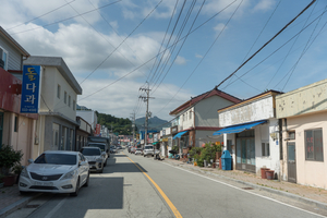 [패트롤] 해남군-완도군-진도군