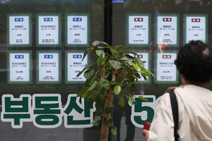 비거주 1주택자까지 풀었지만…“매물 증가는 제한적, 갈아타기만 막혔다”