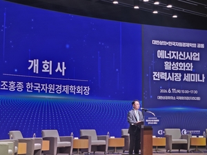 “가격 신호 정상화, 전력감독원 신설 필요”…전력시장 개편 한목소리