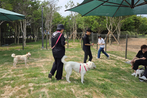 반려견 산책길이 더 즐거워진다…광주 첫 공공 놀이터 30일 개장