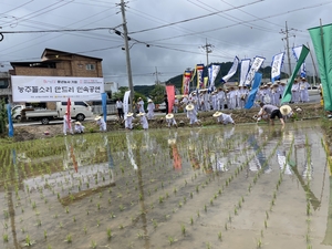 논에 울려 퍼지는 선조들의 노랫가락…화순 능주들소리, 풍년을 기원하다