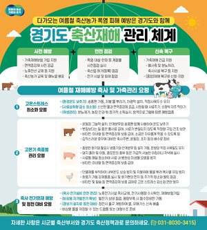 [패트롤] 경기도-동두천시-양주시-의정부시-포천시