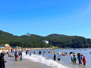 [패트롤] 해남군-완도군-진도군