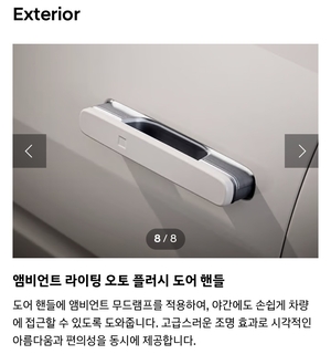 사라진 차문 손잡이…현대차는 확대, 안전기준은 부재
