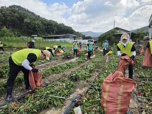 경북도, 미래 인재 육성과 농촌 회복 총력…세계시민교육·수해복구 현장 잇단 지원