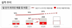 외국인 관광객 늘자, 렌터카도 달렸다…렌터카업계 ‘새 먹거리’ 부상