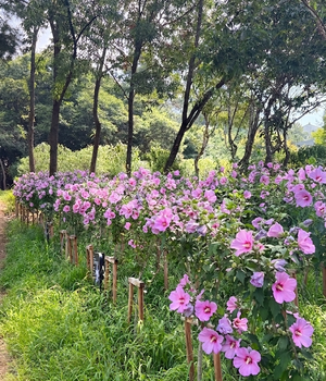 [패트롤] 경기도-동두천시-양주시-의정부시-포천시