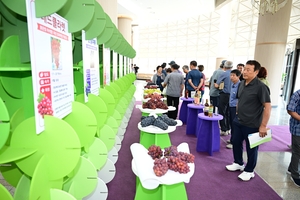 김천서 열린 전국 포도 심포지엄 ‘포도 산업 이대로 괜찮은가’…