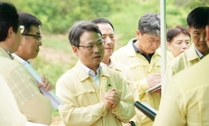 [환경소식] “재선충병 뿌리 뽑는다”…산림청, 정읍 ‘수종전환’ 현장 점검