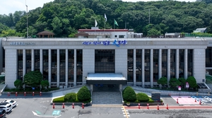 [패트롤] 김포시-안산시-안양시-양평군-하남시