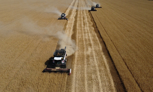 “밥상 물가 비상”…글로벌 농산물값 얼마나 올랐길래 [ 이슈+]