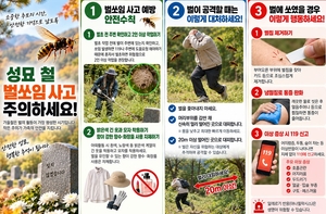 추석 앞두고 벌초철 사고 잇따라…부산소방 “벌·뱀·예초기 조심”