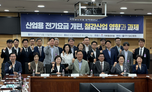 ‘지역별 요금 차등화’ 나섰지만…“철강 ‘탈탄소 족쇄’ 해소 역부족”