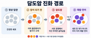 분당서울대병원 연구팀, 담도암  발생·재발·전이 ‘진화 경로’ 규명