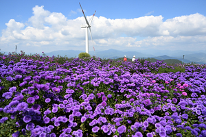 [내일날씨] 전국 흐리고 동해안·제주 비…제주 산지 최대 80㎜ 이상