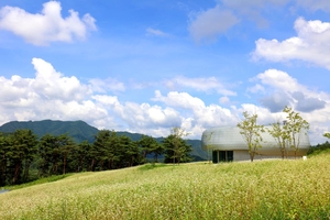 [패트롤] 경북도-경북도의회-경북교육청-경북개발공사-국립백두대간수목원