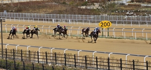 [르포] 렛츠런파크 영천, 휴일 관광객 4천명 ‘북적’…경마·가족 체험 한자리