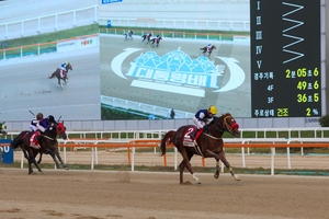 ‘강풍마’, 제22회 대통령배 제패…서울 경주마 우승 4년 만