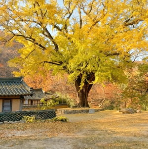 경북문화관광공사, 10월 ‘사진으로 만나는 경북 여행’ 명소 소개