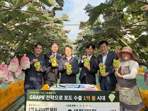 3분기 포도 수출 역대 최대…‘신선농산물 최초 1억달러 수출’ 청신호