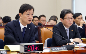 “레버리지 ETF 심사 왜 서둘렀나”...금융당국에 쏟아진 책임론