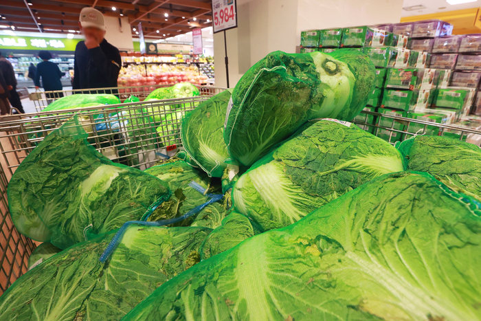 기후 변화에 배추 생산도 흔들...이러다 김치 못 먹게 될라