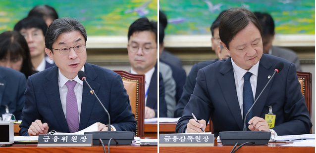 레버리지ETF ‘책임론’ 쏟아진 국회...“금융당국발 人災”